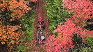 Bounty of Autumn  Ep55  Outsider Log Cabin [upl. by Latrell]