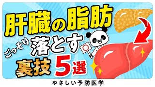 【最新】脂肪肝の「原因」と「改善法」５選 [upl. by Lezirg896]