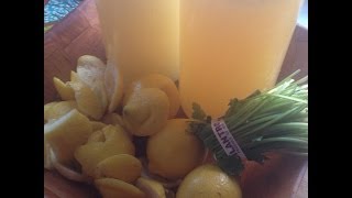 Cilantro Lemonade Detox Juice [upl. by Assenat628]