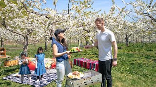 Hokkaido Spring Promotion  Enjoy the Cherry Blossom Season in Hokkaido on a Family Vacation [upl. by Gunar]