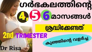 Pregnanacy Care for Second Trimester Malayalam  46 Month of Pregnancy  Pregnancy Care Tips [upl. by Refinney]