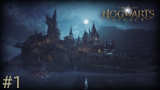 Поступили по блату  Hogwarts Legacy 1 [upl. by Hutchinson54]