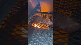 Reverse Searing a TriTip on the Yoder Smoker YS1500 [upl. by Margetts]