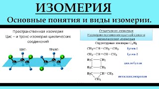 Органическая химия Изомерия ЕГЭ [upl. by Mistrot]