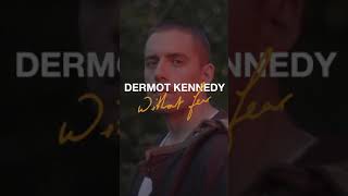 Dermot Kennedy  Without Fear [upl. by Blondie801]