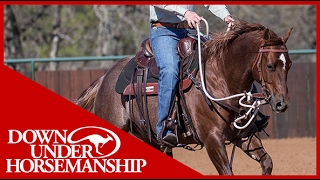 Clinton Anderson Perfecting the Posse Part 5  Downunder Horsemanship [upl. by Siuqaj]