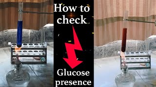 Fehlings solution test check the presence of glucose [upl. by Ramoh35]