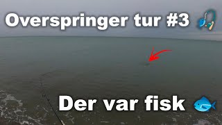 Overspringer tur 3 🎣 Havørred Fiskeri 🐟 [upl. by Ahusoj453]