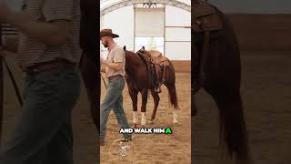 Reining Masterclass has everything All those little tips to keep you safe [upl. by Adnalue]