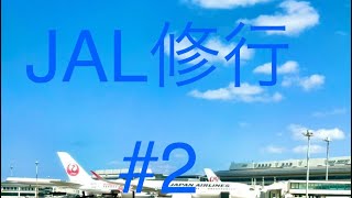 JAL ステータス修行2 JGCプレミア回遊修行 ファーストクラス利用 日帰り6レグ挑戦 [upl. by Nosnorb604]