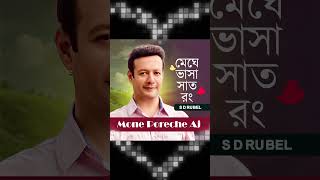 মেঘে ভাসা সাত রঙ  S D Rubel sdrubel song gaan banglamusic [upl. by Lorelei62]