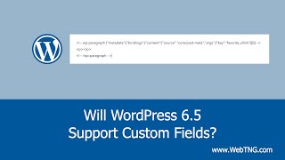 Will WordPress 65 Support Custom Fields [upl. by Nodyroc]