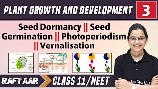 Plant Growth and Development 03  Seed Dormancy  Seed Germination  Class11NEET RAFTAAR [upl. by Agemo]