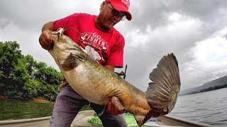 How To Locate Catfish On River Systems  What To Look For [upl. by Odrautse309]