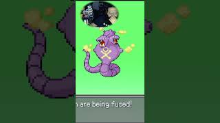 Team Rocket FUSION  Requested Fusions part 81 koffing ekans weezing arbok shorts [upl. by Eirrab317]