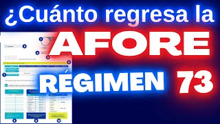 ¿Cuánto Regresa la Afore a Régimen 73 [upl. by Seuguh]