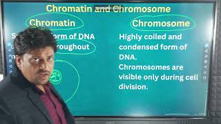 Chromatin and chromosome [upl. by Noryk986]