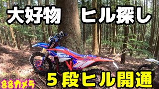 徳島 林道 大好物 ヒル探し！５段ヒル開通 BETA RR Race Edition [upl. by Elokkin]