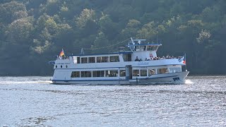 ⛴ 19092024 Das Personenschiff Goldstück fährt auf der Mosel bei Pommern in Richtung Cochem  4K [upl. by Tebazile766]