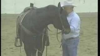 Training Tips Teaching a Horse to Respond to Leg Pressure [upl. by Hauhsoj334]