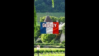 Whats it like to work at one of the worlds best wine houses Gevrey Chambertin [upl. by Benge423]