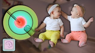 How To Have Twins Get the Truth from a Fertility Expert [upl. by Delanty]