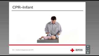 CPR  Infant [upl. by Azmah]