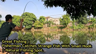 Great Fishing  Fisherman Catches Strange Fish With Small Hook  Natural Fishing Spot [upl. by Ellerahc]