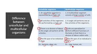 Difference between unicellular and multicellular organisms  Unicellular and multicellular organisms [upl. by Aggri]