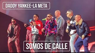 Somos de Calle liveen vivo La MetaDaddy Yankee 11223 [upl. by Kachine458]