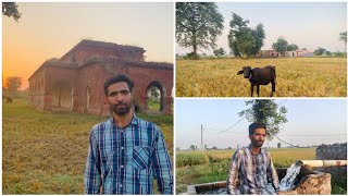 Old Farm house  Juriyan Village  Hafizabad [upl. by Meda]