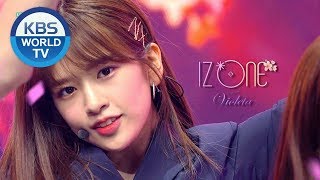 IZONE  Violeta I 아이즈원  비올레타 Music Bank20190412 [upl. by Linea953]