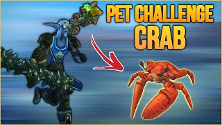 Crab pet PvP action 🦀  Marksmanship Hunter WotLK Classic PvP 2023 [upl. by Yelsha123]