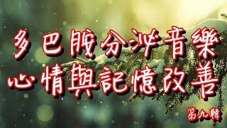 多巴胺分泌音樂1小時第九輯 綱琴曲目 心情與記憶改善 助正面能量釋放 [upl. by Ecneret]