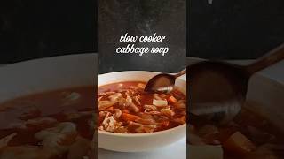 slow cooker cabbage soup [upl. by Jone784]