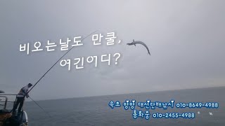 가을낚시 서울에서 엄마딸삼치낚시 동두천에서 강릉 삼치배낚시 꽝나고 강릉에서 속초 양양 내고기 다줏어가내 가을 선상낚시 동해 바다낚시 대선단배낚시 배낚시 선상낚시 바다낚시 [upl. by Mraz]