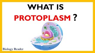 Protoplasm  Definition Diagrams Components Properties and Functions [upl. by Barbara579]