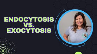 Endocytosis vs Exocytosis [upl. by Nosauq]