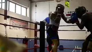 Gervonta Davis The Mike Tyson Of 130 Div [upl. by Garey453]