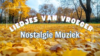 Oude Nederlandse Liedjes 🍁 Hollandse Liedjes 🍁 Meest Beluisterde Muziek Uit Nederland [upl. by Svensen402]