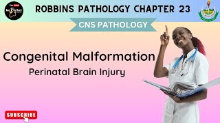 CONGENITAL MALFORMATIONS AND PERINATAL BRAIN INJURY  Neural Tube DefectsCNS pathology [upl. by Bobine]