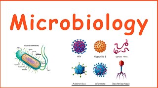 Microbiology  Introduction to microbiology  Microbiology quiz  Bacterial growth  Bacteria Cell [upl. by Tymothy]