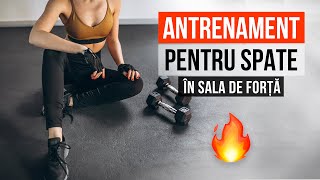 Antrenament LA SALA pentru SPATE  Exercitii pentru tonifierea spatelui si a umerilor [upl. by Ahsiekahs]