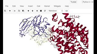 BioPython 3D Structure Analysis [upl. by Saxen239]