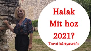 quot2021 Nem mind arany ami fénylik Karmikus erők irányítják a sorsodquot általános tarot kártya kivetés [upl. by Eiramanig]