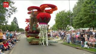 Het Bloemencorso Eelde bij TV Drenthe [upl. by Eiramaneet933]