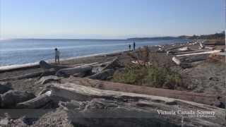 Esquimalt Lagoon BC Canada ‪バンクーバー島‬ [upl. by Yeo331]