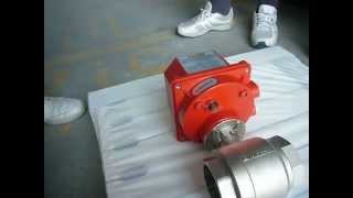 VANA CU 2 CAI CU SERVOMOTOR SECTORIEL 2quot 12 ACTIONATA ELECTRIC [upl. by Hegyera]