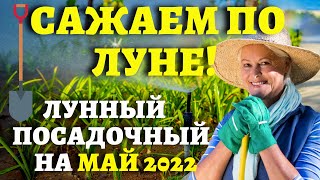 ТОЧНЫЙ ЛУННЫЙ ПОСЕВНОЙ КАЛЕНДАРЬ НА МАЙ 2022 по дням лунныйпосевнойкалендарь [upl. by Alimrahs]