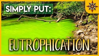 Eutrophication Explained [upl. by Atikel]